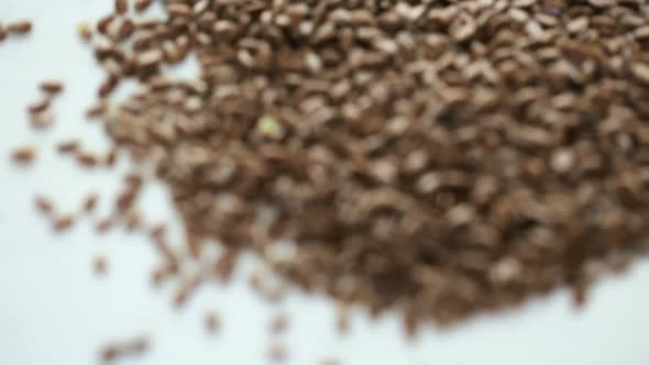 Flax seeds on painted wood board