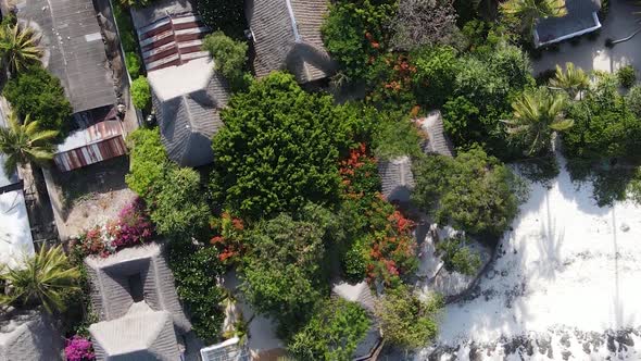 Tanzania  Aerial View of Houses Near the Coast of Zanzibar Vertical Video