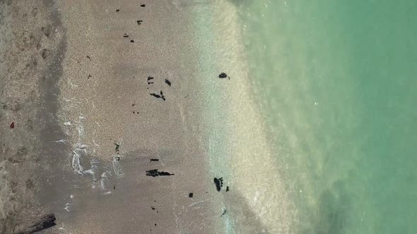 Wood marine debris along Colombian Caribbean Gulf of Morrosquillo. Withe sand beaches.