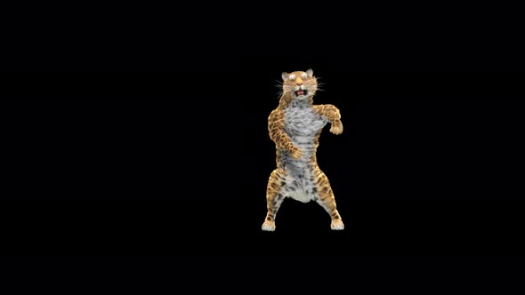 Leopard Dancing 4K