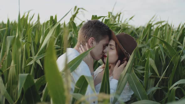 Loving Couple in the Corn Field