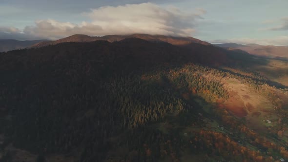 Hill with Green Dense Forest Lit By Bright Morning Sun