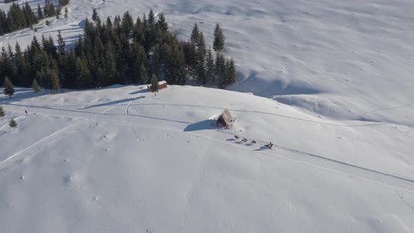 Aerial view of a dog sled riding in the snow