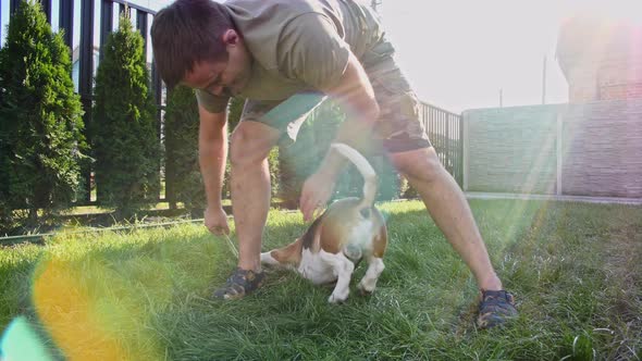 Man Plays with His Beagle Dog Outdoors and Treats Her Pet with a Treat