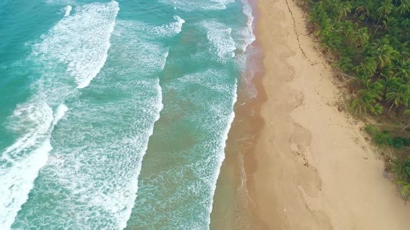 Aerial View of Tropical Sandy Beach and Blue Ocean. Top View of Ocean Waves Reaching Shore on Sunny