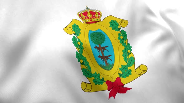 Durango Flag (Mexico)