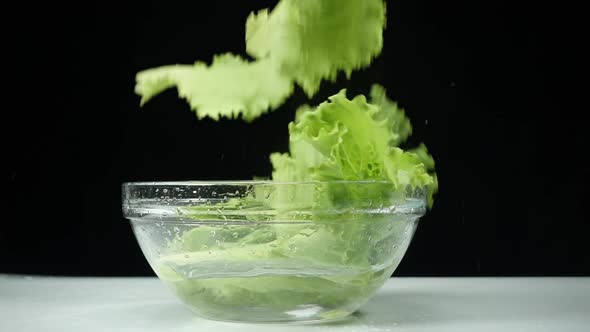 Lettuce Leaves Fall Into a Cup of Water in Slow Motion