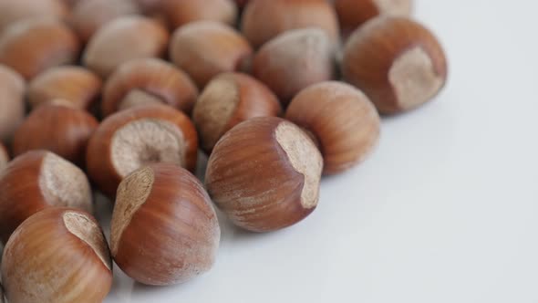 Ripe hazelnuts on white background slow pan 4K 2160p 30fps UltraHD footage - Pile of nuts of the spe