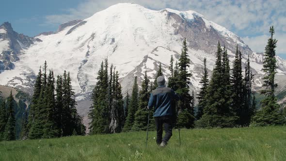 Hiker With Poles Exploring Mt Rainier Wilderness