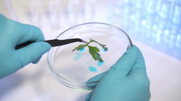 Biologist Examines Sample