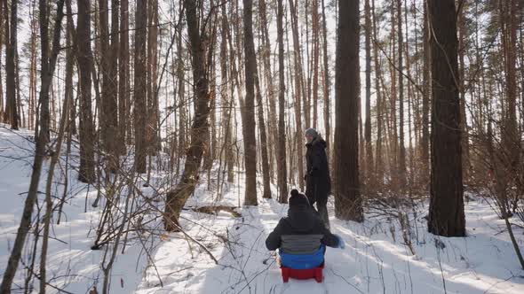 Dad Sledding His Son on Red Sled Through Sunny Winter Forest