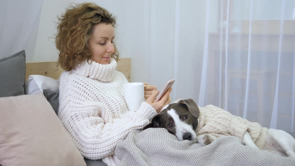 Technology, Communication, Winter And People Concept - Woman Lying In Bed With Dog And Using