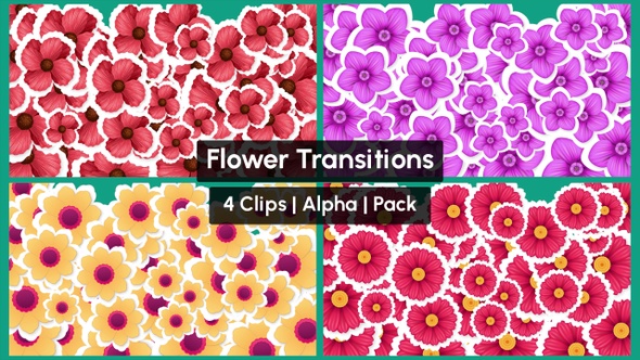 Flowers Transitions Pack with 4 Clips Alpha