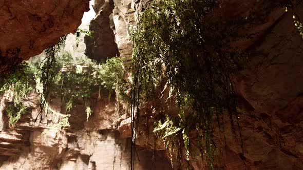 Large Fairy Rocky Cave with Green Plants alt