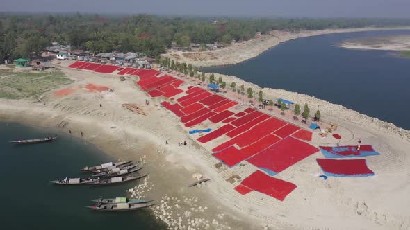 Aerial view of red pepper field, Rajshahi province, Bangladesh.