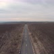 Empty Pavement Road Between Bare Trees - VideoHive Item for Sale