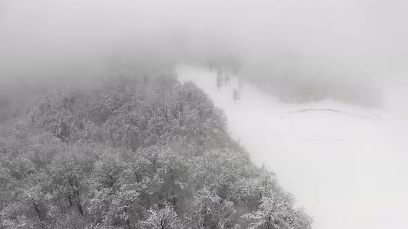 Aerial View of a Frozen Forest with Snow Covered Trees at Winter During Foggy Journey