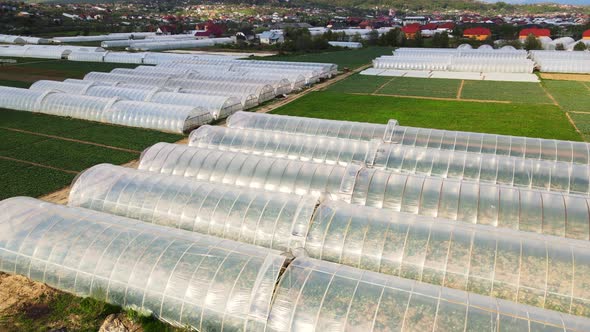 Aerial View Fabulous City Where Vegetables are Grown