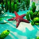 Underwater  Blue World 3 - VideoHive Item for Sale