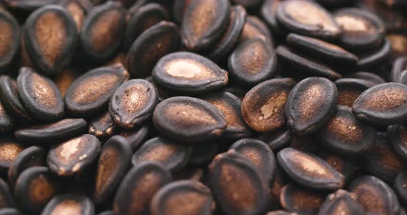 Black Melon Seed 