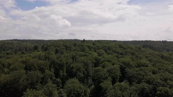 Soft clouds over a dark green thicket on a windy summer day in central Europe. Slow aerial flyover