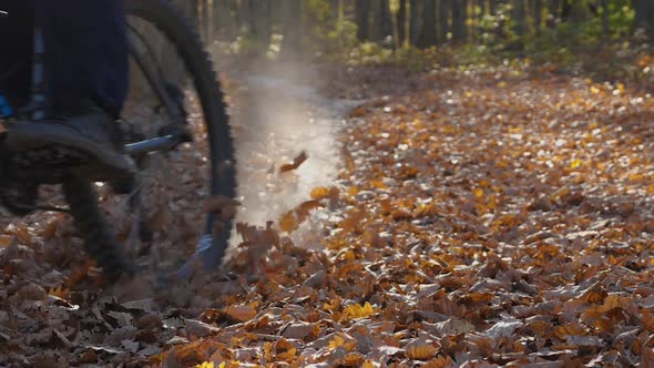 Slow-motion of a man riding a mountain bike quickly through dry leaves in the woods and braking