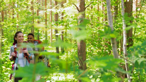 Group of Friends with Backpacks Hiking in Forest