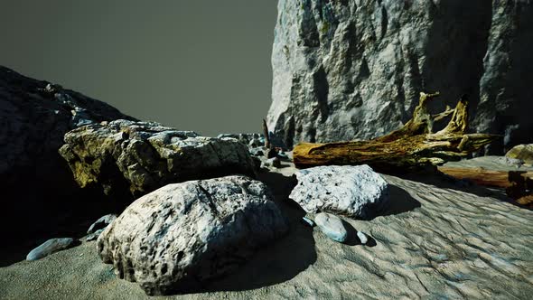 Time Lapse of Logs on a Beach Coast of Majorca