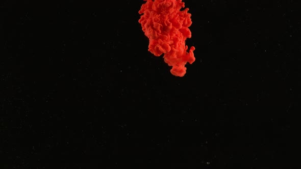 Slow motion shot of red ink on black background, shot with Phantom Flex 4K camera. alt