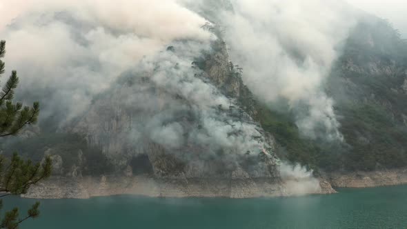 Plumes of white smoke rising from burning forest. Catastrophic fire caused by climate change