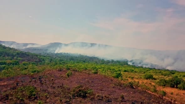 Aerial drone shot flying away from the smoke of a forest fire