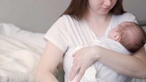 Little Newborn Baby Boy Sleeping with Baby Dummy on Mother Hands at Home Mom Puts Baby to Sleep