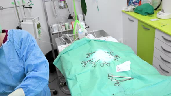Female Veterinary Surgeon Operating in the Operating Room of a Veterinary Clinic