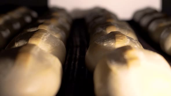 Loaf of Bread on the Production Line in the Bakery. Baked Loaf of Bread in the Bakery, Just Out of