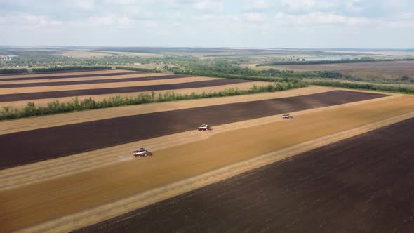 Cleaning a Flax Field From a Bird'seye View