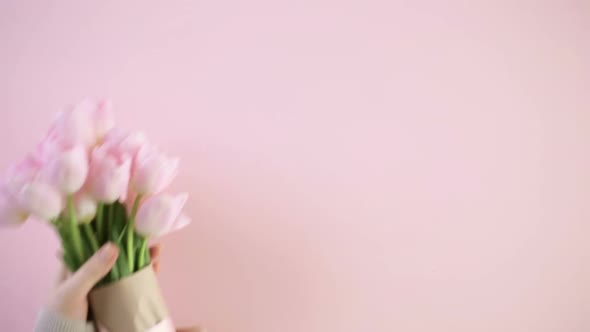 Bouquet of pink tulips on a pink background