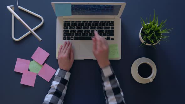 Business Woman Working at a Laptop While Sitting at the Table and Drinking Coffee