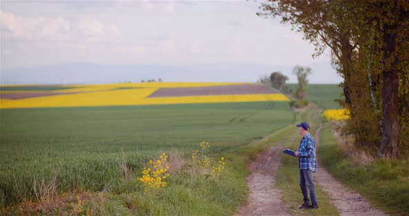 Agriculture Farmer Walking on Agricultural Young Wheat Field Examining Crops