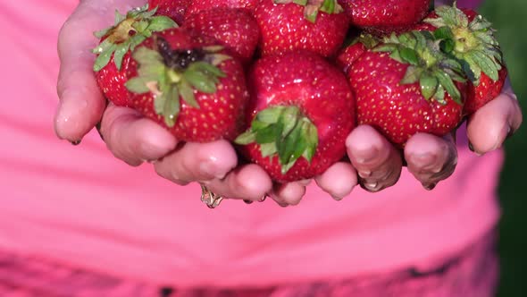 Girl Holding Red Strawberries