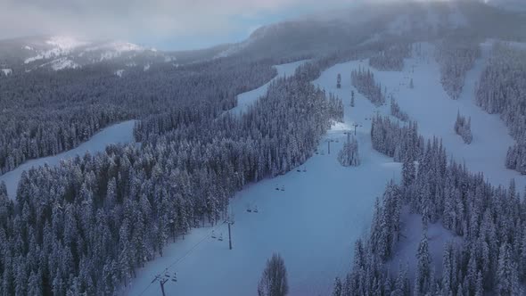 Drone Footage of Beautiful Remote Wilderness with Fir Forest Below Cloudy Sky