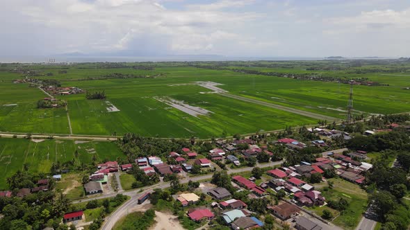 The Paddy Rice Fields of Kedah and Perlis, Malaysia