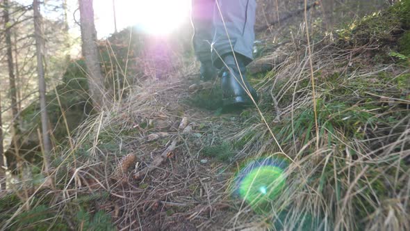 Close Up of Male Feet Going on Path in Pinery on Sunny Day