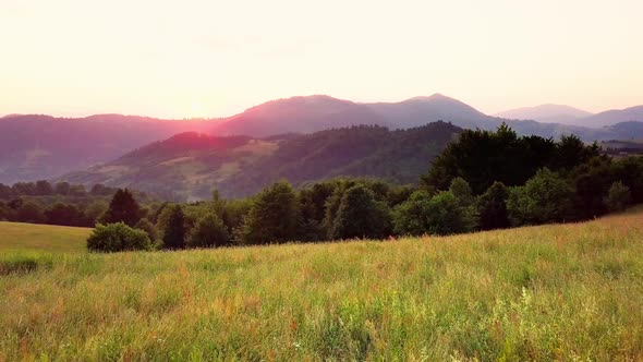 Aerial View of the Endless Lush Pastures of the Carpathian Expanses and Agricultural Land