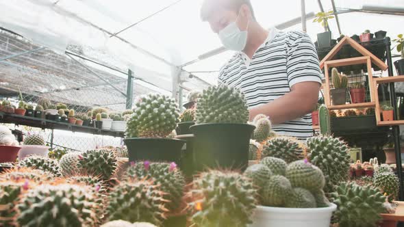 A masked man holds a potted cactus and examines it with the sunlight behind him in a greenhouse nurs