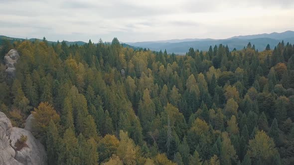 Impressive Drone Shot of the Mountain Hills in Forest. Autumn. Aerial View