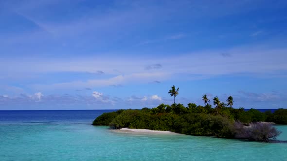 Aerial drone scenery of seashore beach wildlife by blue water with sand background