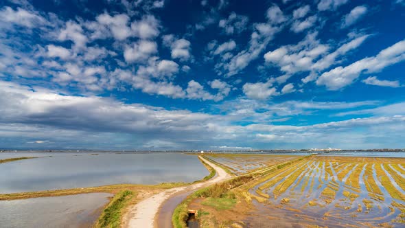 Rice Fields Time Lapse in Albufera, Valencia