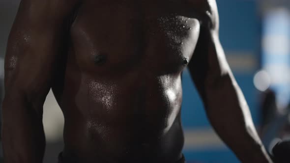 Muscular Male African American Torso Working Out in Gym Indoors