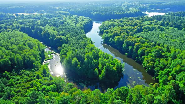 Winding river between forests at sunrise in summer, aerial view