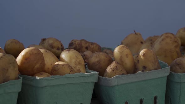 Potato Baskets at local Farmers Market